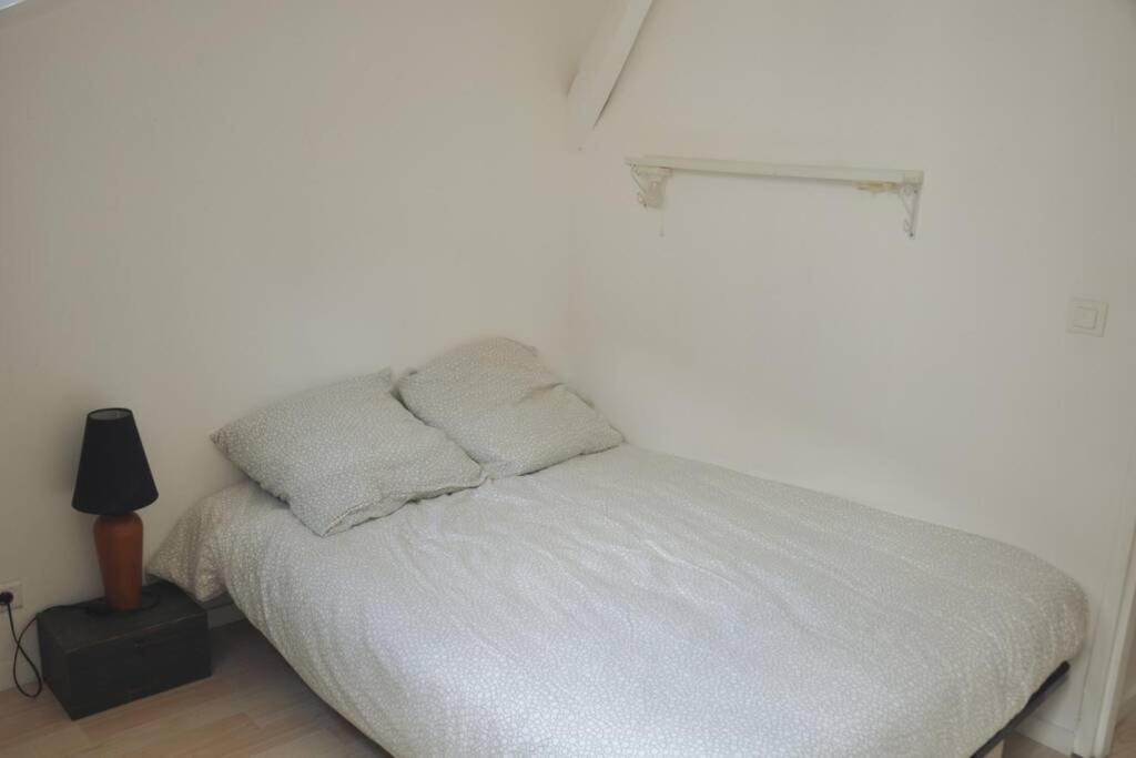 Duplex Avec Belle Terasse Au Centre De Bayonne Apartament Zewnętrze zdjęcie